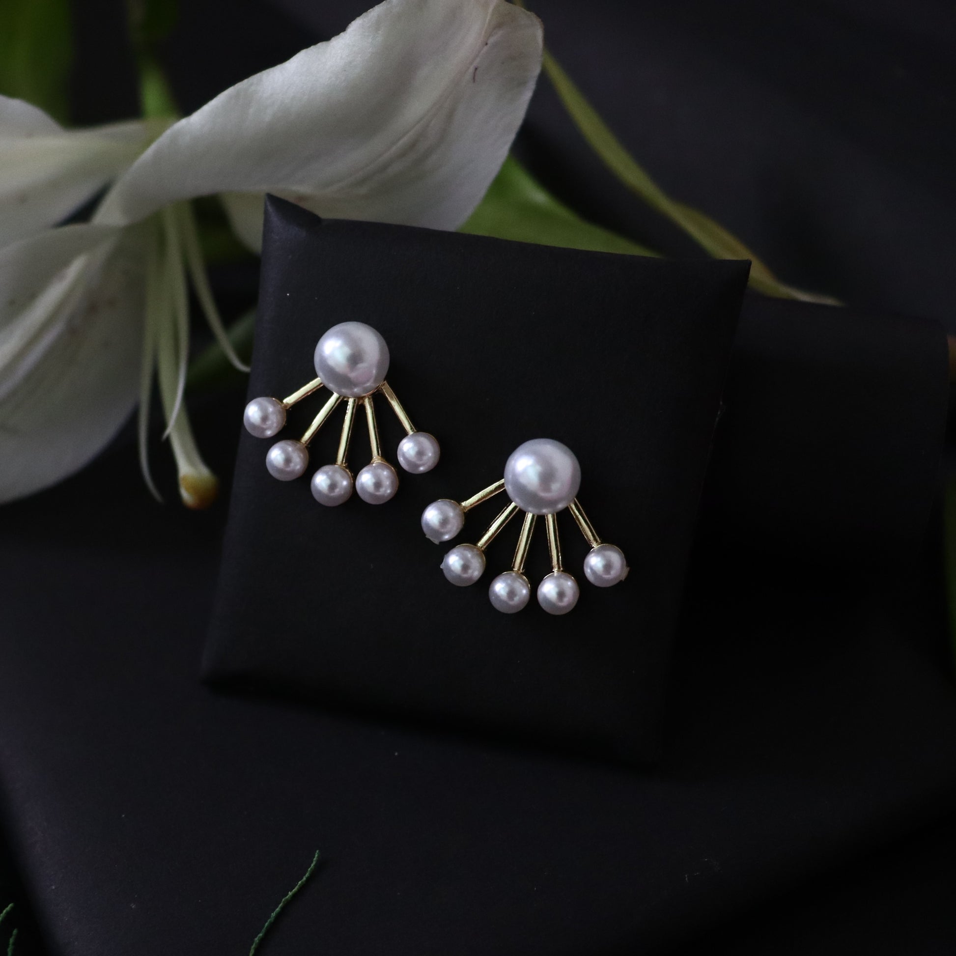 Korean Earrings - Areumi